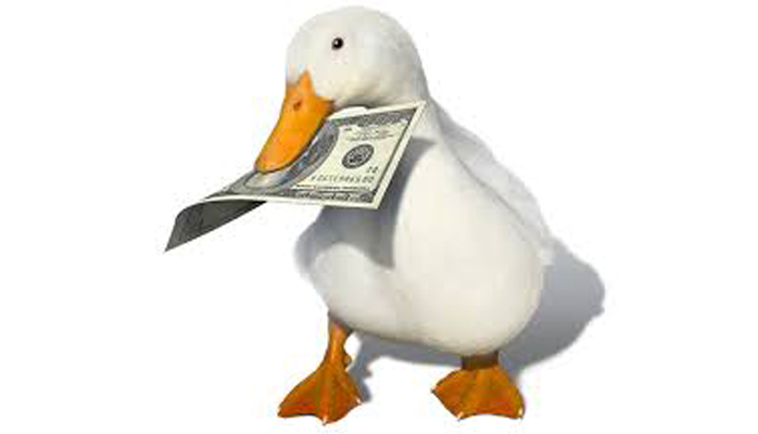 You Bought A ‘Duck’ – Now What?
